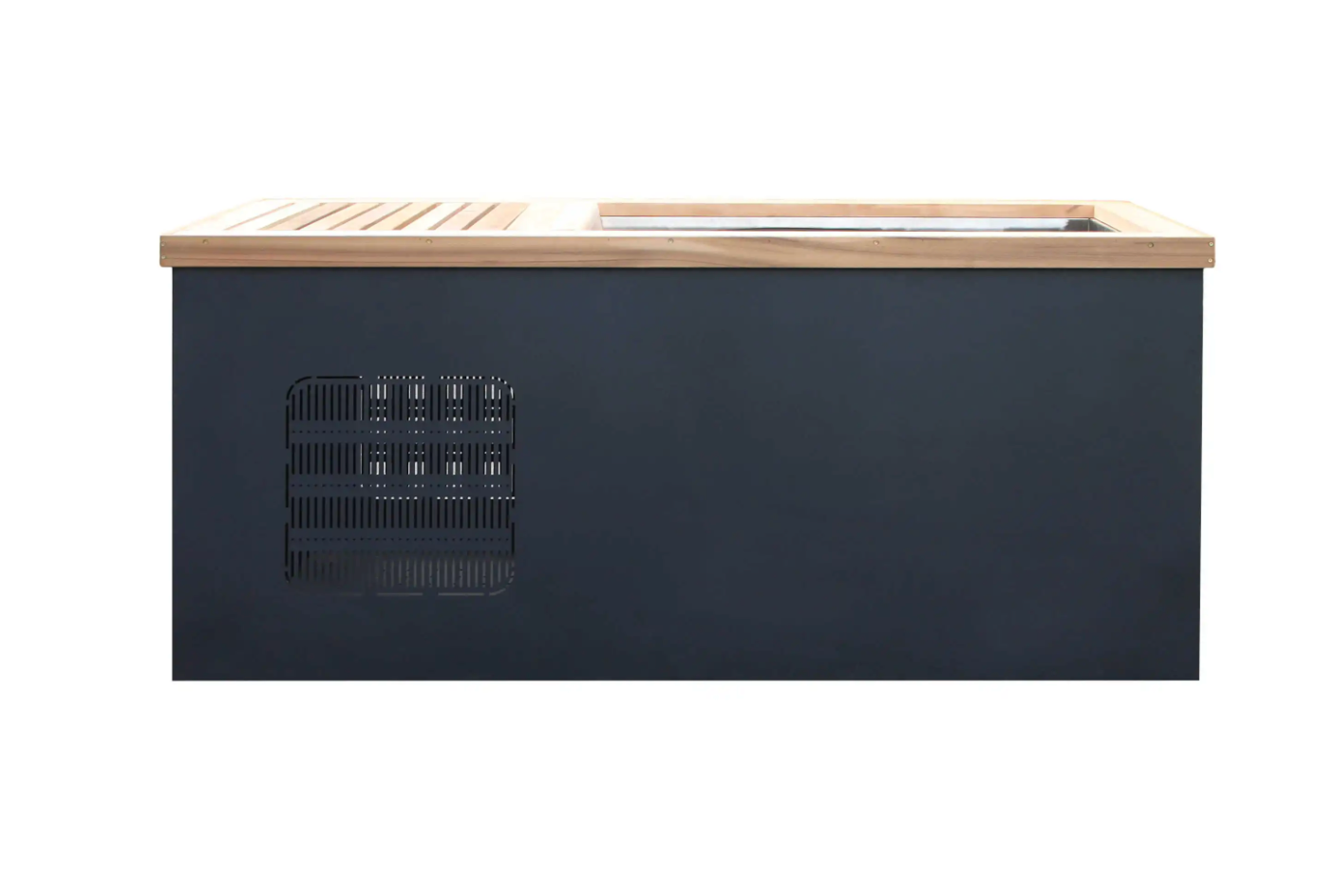 Stainless Steel Plunge Pool
